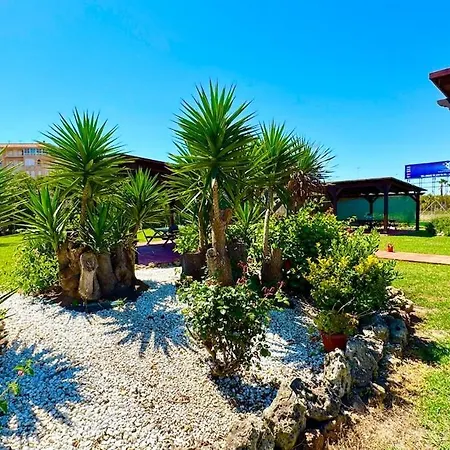 30 Con Solarium Y Piscina Torrevieja